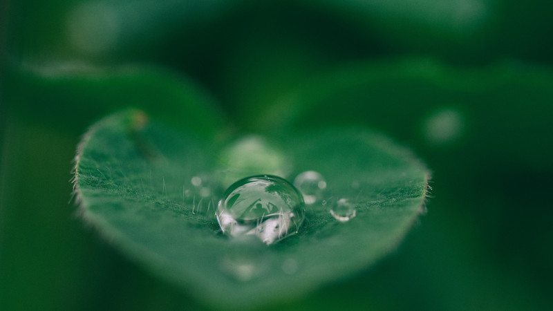 aaron burden 265916 unsplash