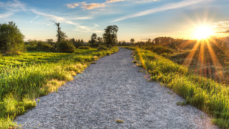 Openground Gravel Path With Setting Sun