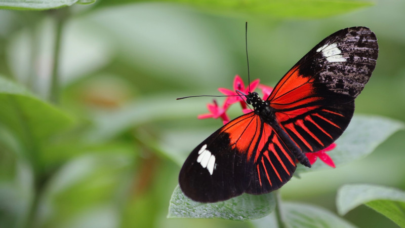 ana martinuzzi oOpzHqXSMxM unsplash