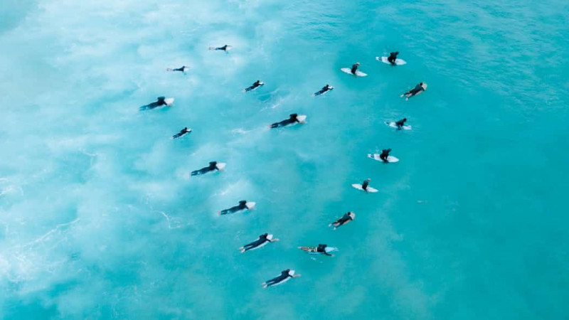 janelle soto bondi blue unsplash