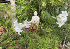 Screenshot 2025 11 27 at 12.35.09pm