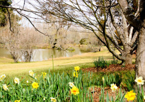 Garden Pond 450