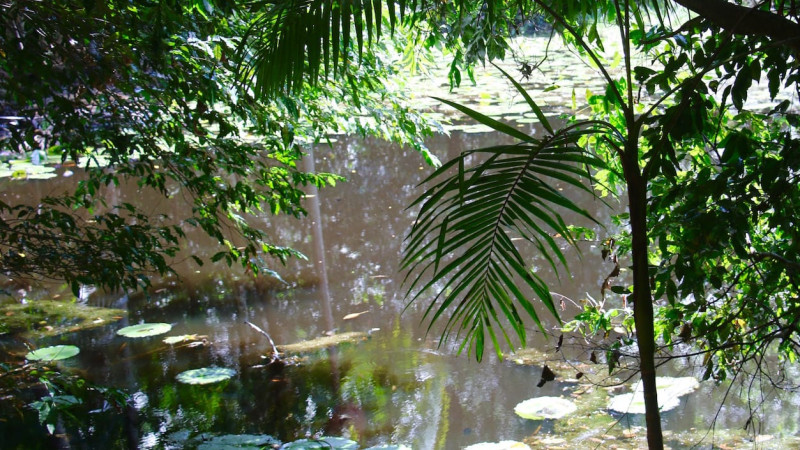 sangsurya silent retreat